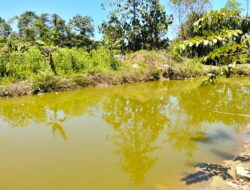 Warga Dapat Bantuan Itik – Ikan Air Tawar dan Ayam Pedaging