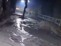 Suara dari Perut Tembagapura