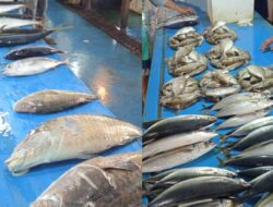 Ikan di Pasar Biak Kota Sepi Pembeli