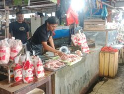 Ayam Pasar Sentral Timika Masih Stabil