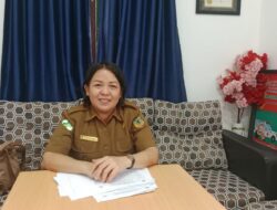 Penyakit Malaria Turun Naik di Puskesmas Pasar Sentral Timika