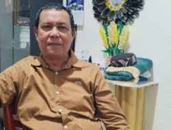 Pelni Mimika Catat Peningkatan Arus Mudik