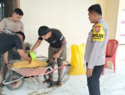 Polisi Turun Tangan Keringkan Jagung Petani, Polsek Tommo Pastikan Serapan Bulog Maksimal