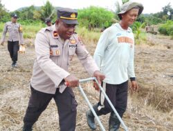 Polisi Turun ke Ladang: Strategi Senyap Ketahanan Pangan di Balik Penanaman Jagung 1 Hektare di Makimi