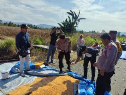 GERAK CEPAT Polda Papua Tengah Lewat Kehadiran Polres Nabire! Serahkan 24 Pack Bibit Jagung, Gandeng Bulog Pastikan Kualitas Panen Petani Makimi