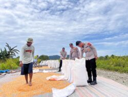 Panen Rakyat Dikawal Polisi! 7 Ton Jagung dari Makimi Meluncur ke Gudang Bulog Nabire