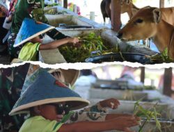 Seru dan Edukatif! Yonif TP 804/DBAY Ajak Siswa TK “Panen” Telur hingga Kenal Dunia Tani di Nabire