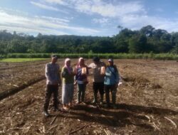 Kapolsek Makimi dan Polda Papua Tengah, Turun ke Sawah, 7.500 Meter Lahan Jagung Ditanam untuk Dukung Ketahanan Pangan Nasional