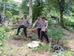 Bayi Dibuang di Belakang Pesantren, Polisi Selidiki Penemuan Mayat di Mamuju