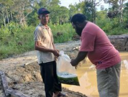 Tujuh Kolam Ikan Air Tawar Kampung Utikini I Disebar 4.130 Ekor Bibit Nila