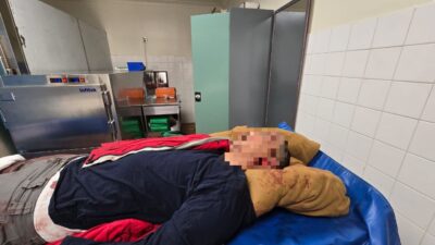 Peluru Misterius di Lahan Reklamasi Grasberg: Seorang Karyawan Tewas, Polisi Kejar Penembak Tak Dikenal