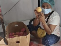 Program MBG di Nabire Diawasi Ketat, SPPG Kalisusu 002 Pastikan Buah untuk Siswa Aman dan Berkualitas